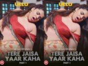 Tere Jaisa Yaar Kaha – Part 1 Episode 3